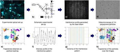 On the Time Transition Between Short- and Long-Time Regimes of Colloidal Particles in External Periodic Potentials